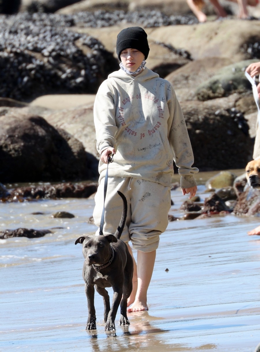 billie eilish beach outing with dogs brother 34