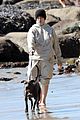 billie eilish beach outing with dogs brother 34