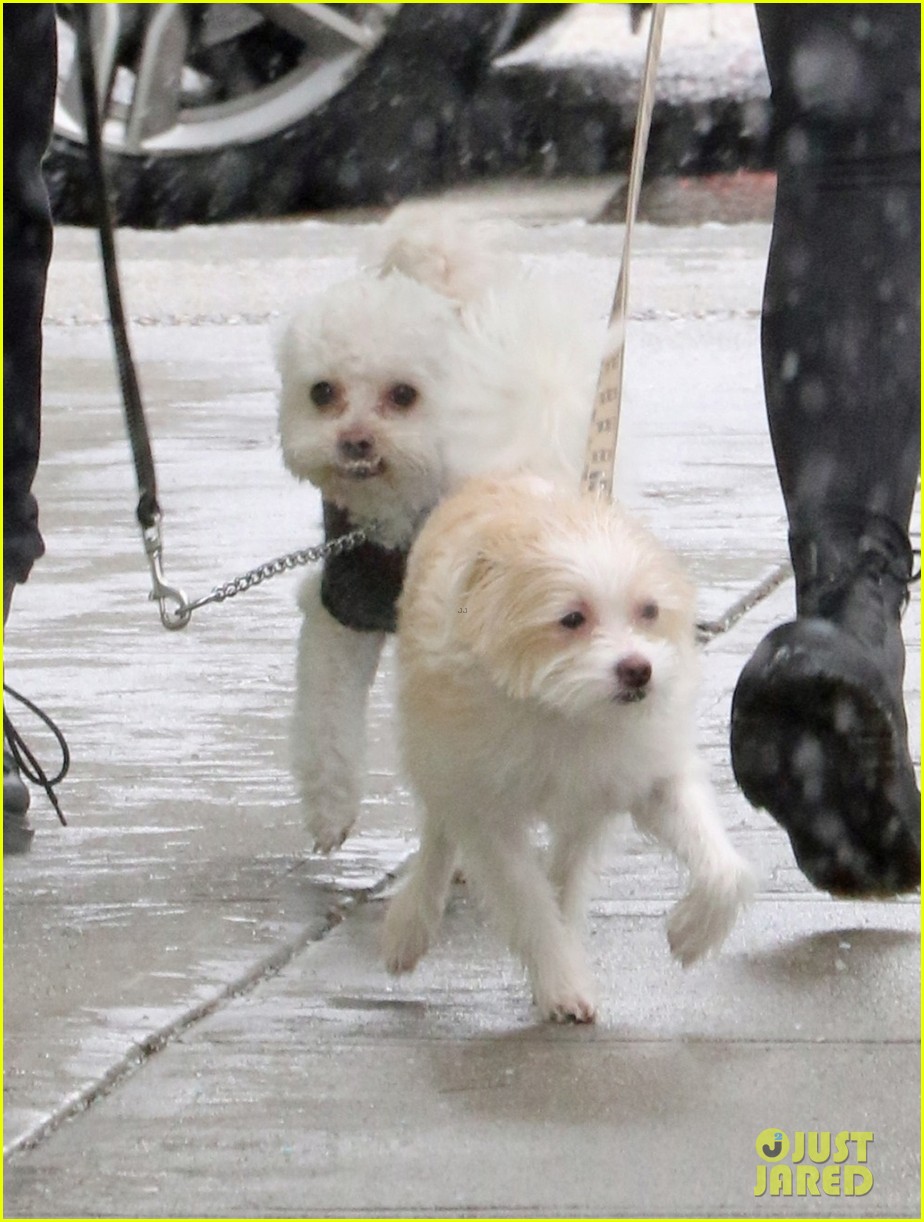 camila mendes madelaine petsch walk their dogs in the snow 03
