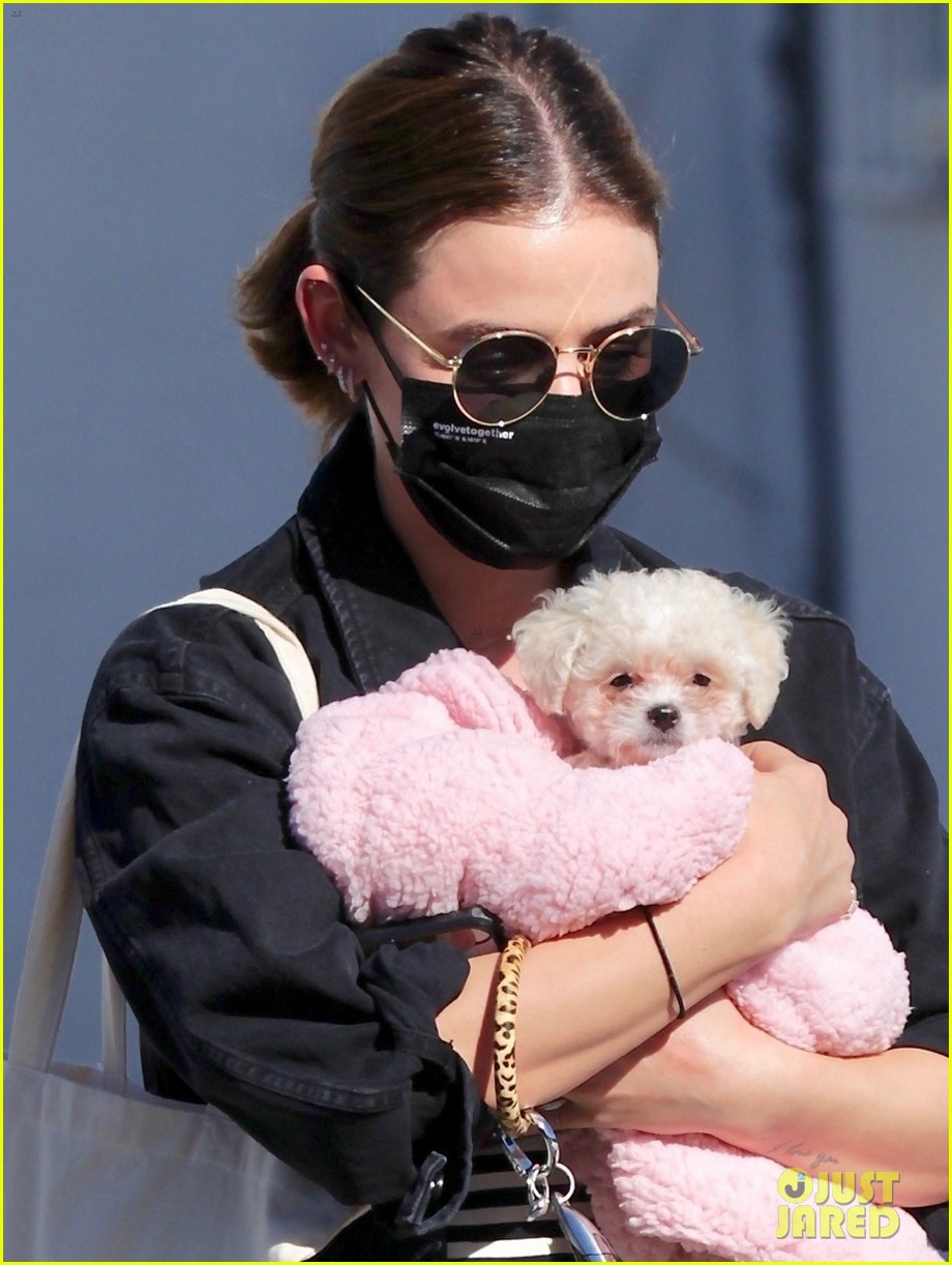 lucy hale new puppy fostered by this star 02