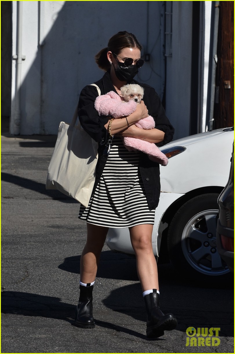 lucy hale new puppy fostered by this star 03