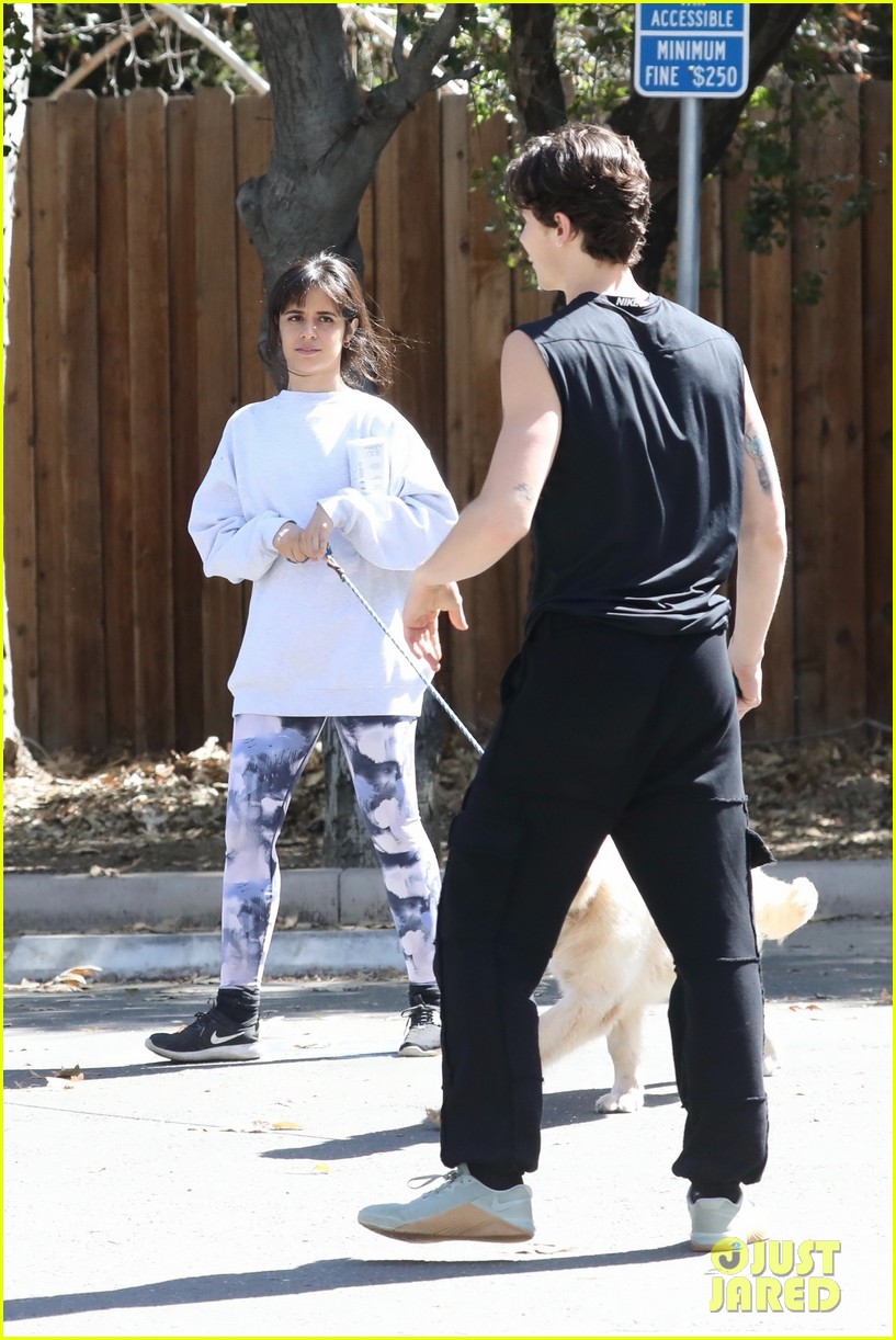 shawn mendes camila cabello hiking with their dog 22