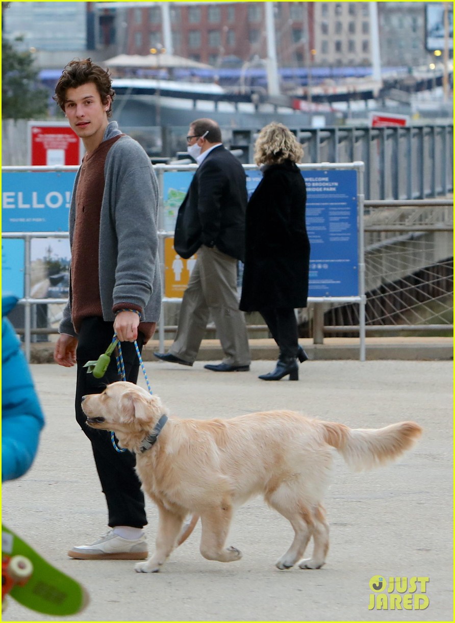 shawn mendes walks his dog in new york city 01
