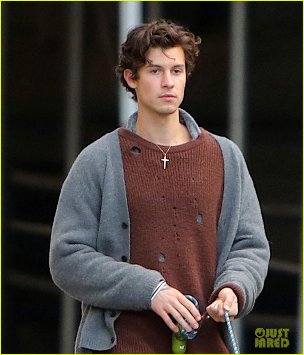 shawn mendes walks his dog in new york city 02