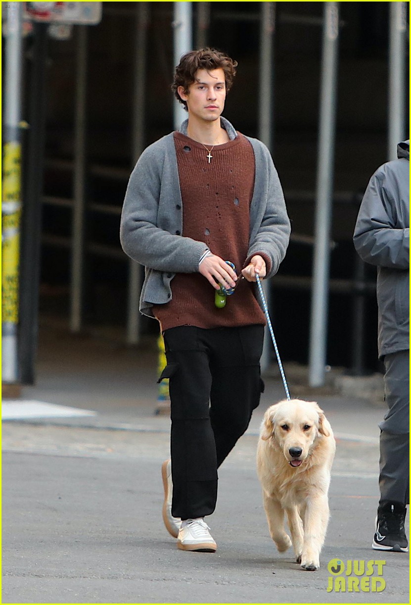 shawn mendes walks his dog in new york city 05