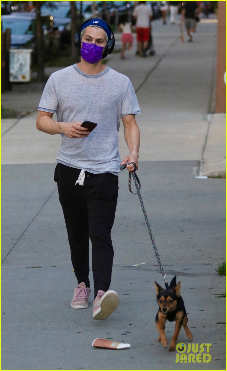 dylan o brien takes his dog for a walk in nyc 01