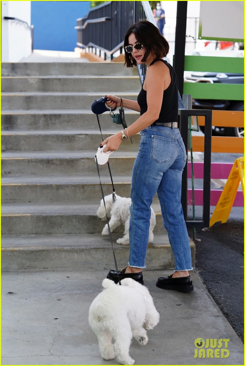 lucy hale brings her cute pups to doggy daycare see the pics 01