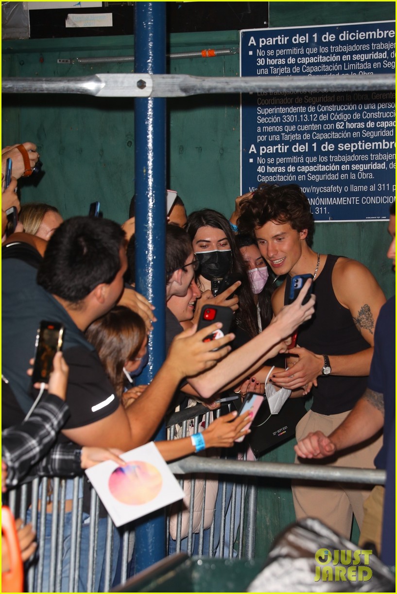 shawn mendes irving plaza show 15