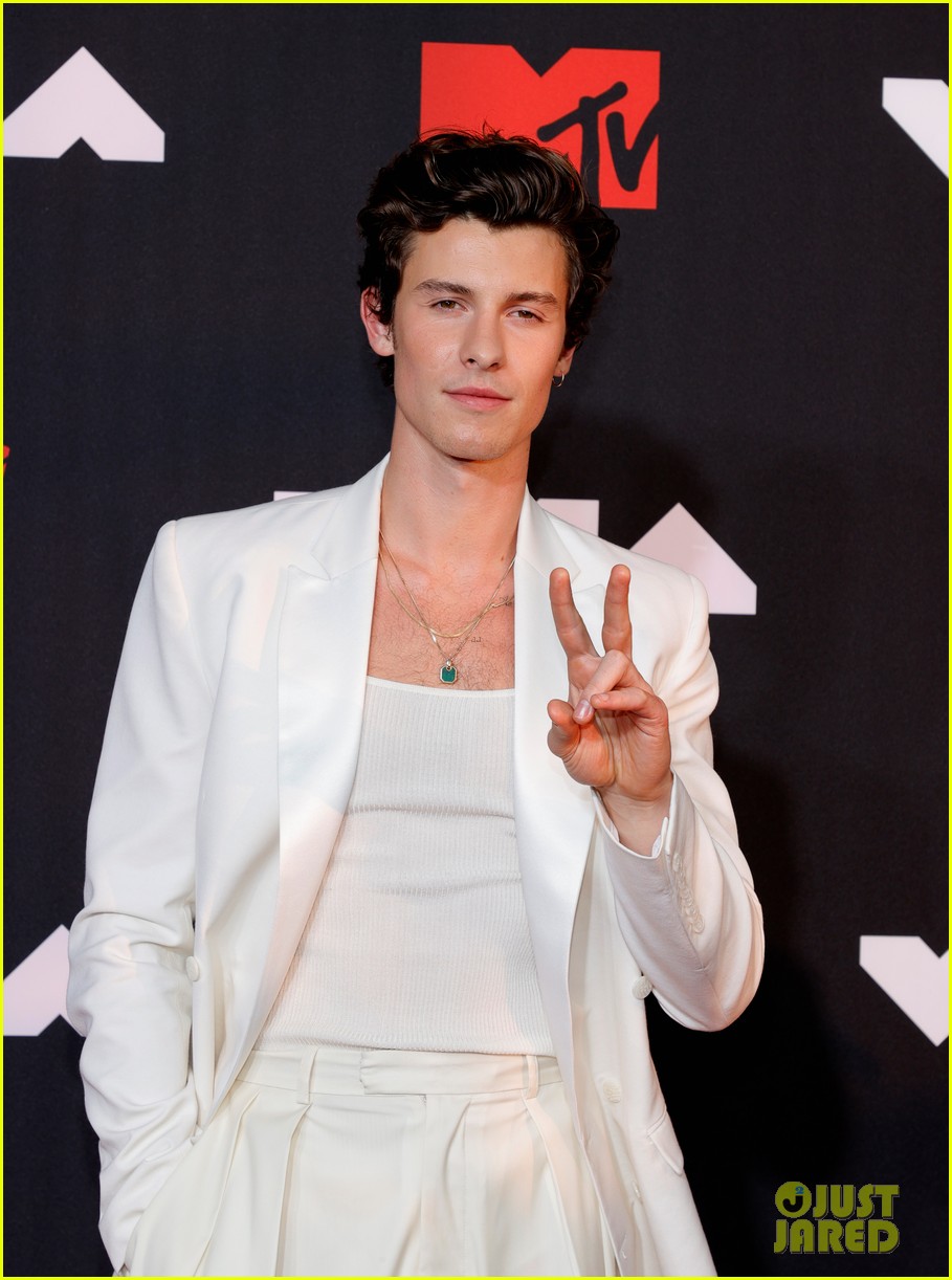 shawn mendes not doing well with social media 04