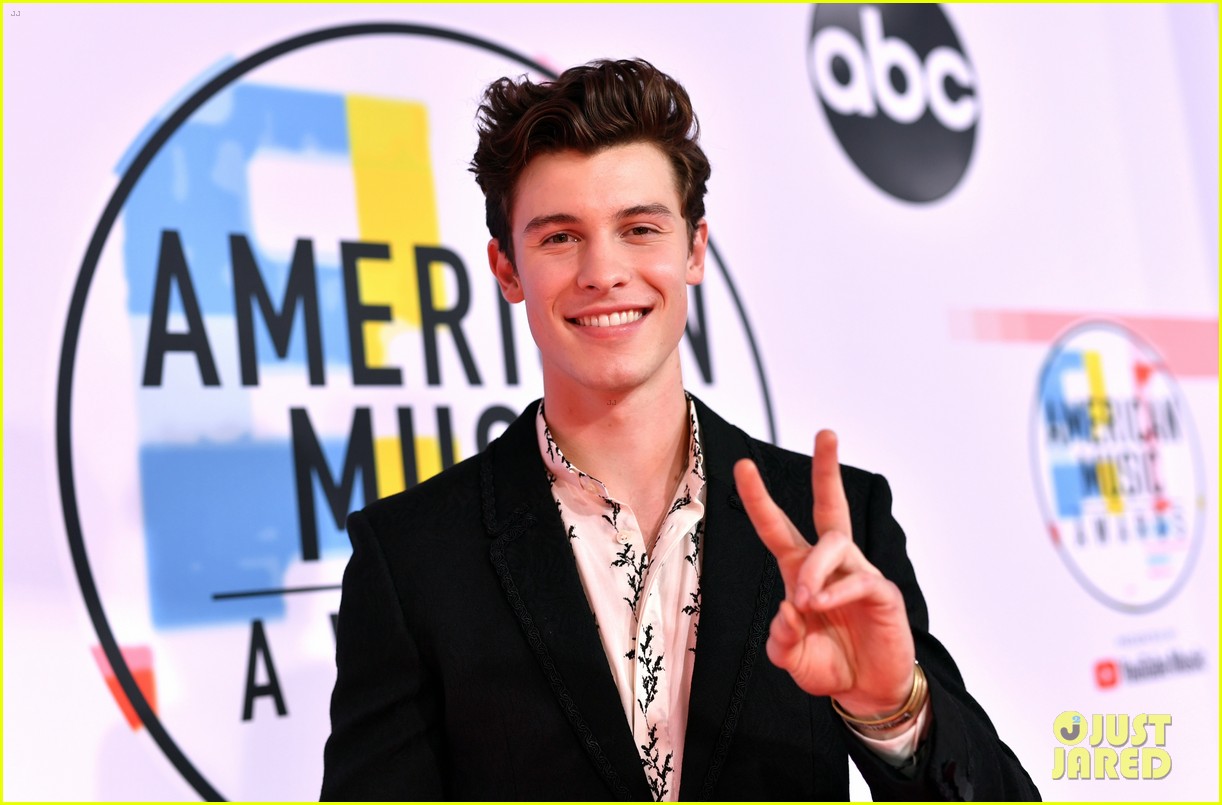 shawn mendes not doing well with social media 08