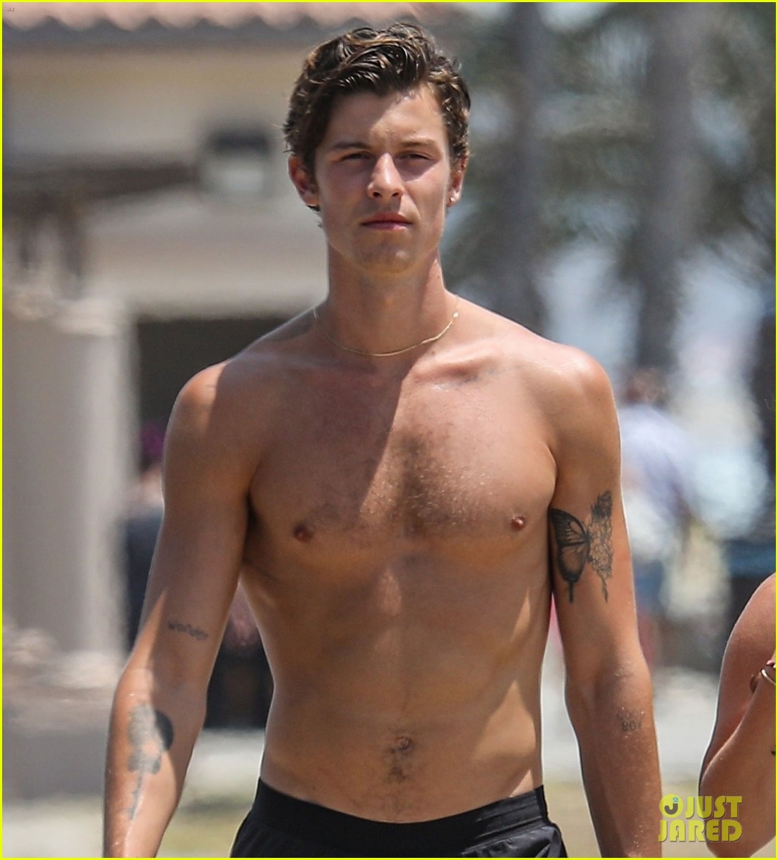 shawn mendes goes shirtless for walk with friends 02
