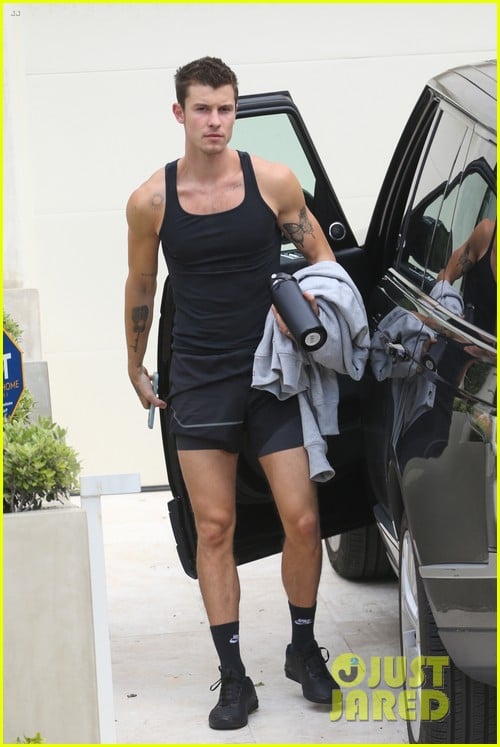 Shawn Mendes Gets in His Gym Pump During Equinox Outing Photo 1370006