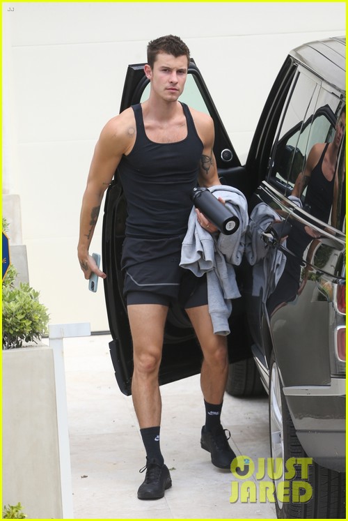 Shawn Mendes Gets in His Gym Pump During Equinox Outing Photo 1370008