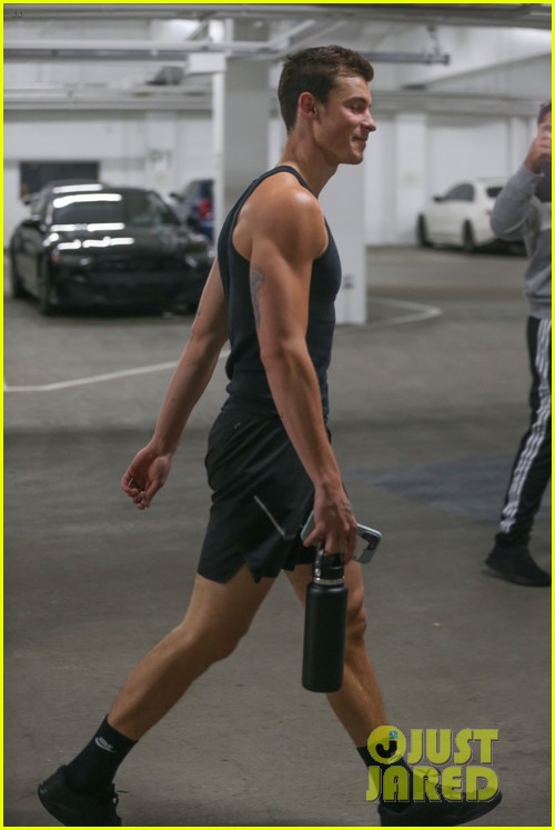 Shawn Mendes Gets in His Gym Pump During Equinox Outing Photo 1370010