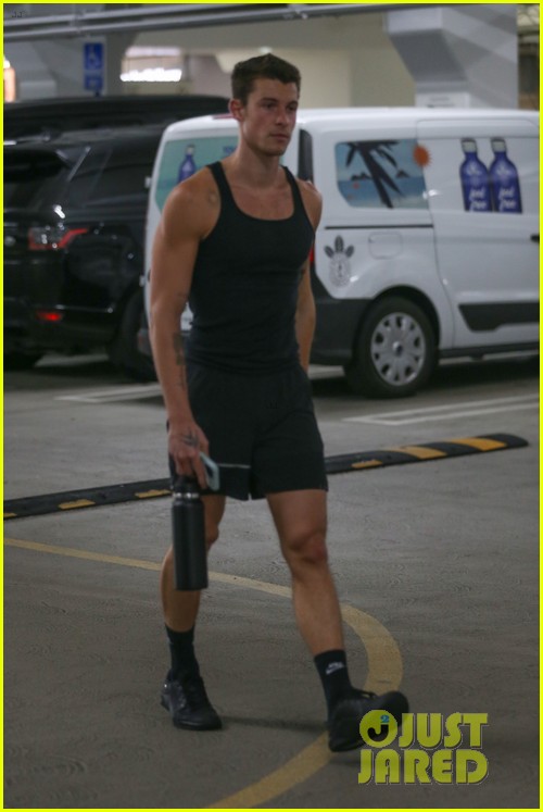 Shawn Mendes Gets in His Gym Pump During Equinox Outing Photo 1370012