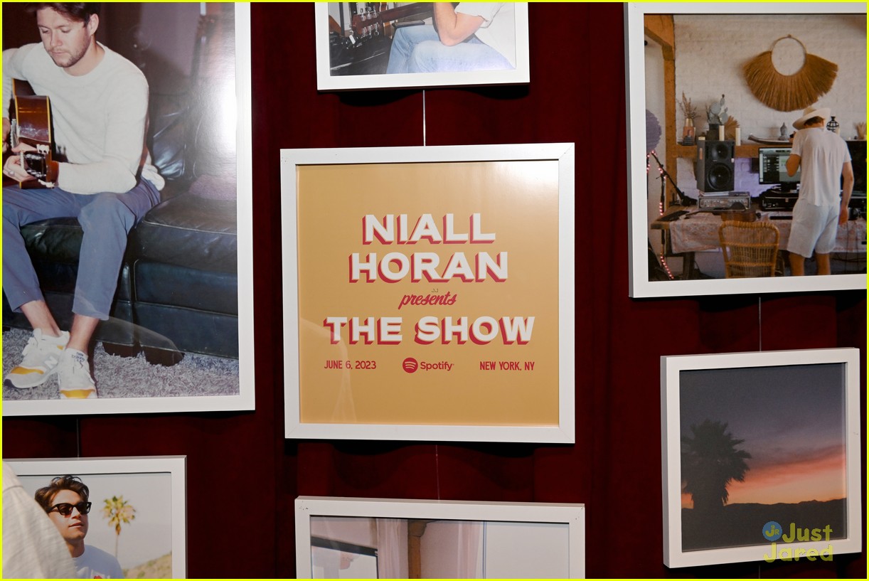 niall horan previews new album the show for lucky fans 07