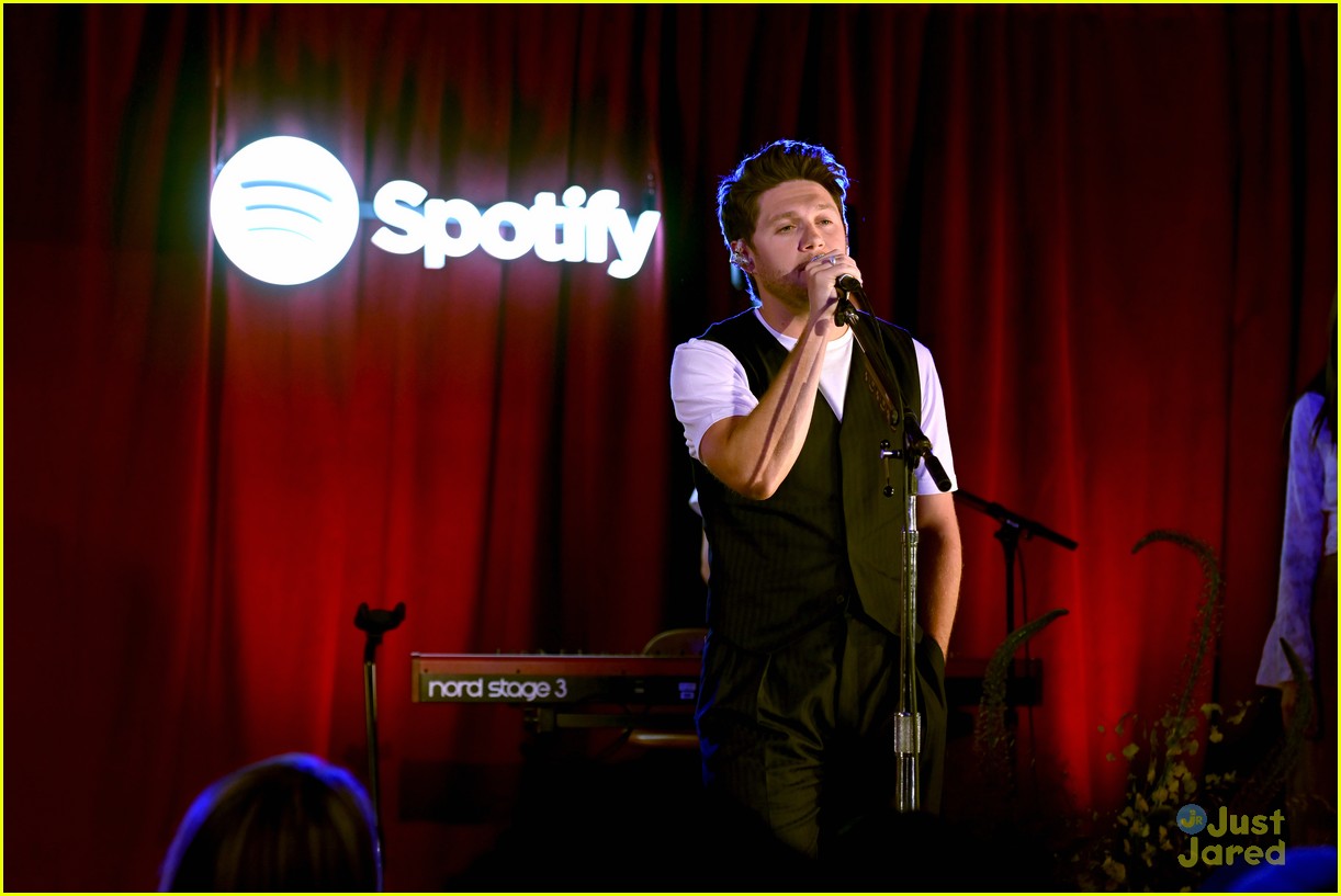 niall horan previews new album the show for lucky fans 10