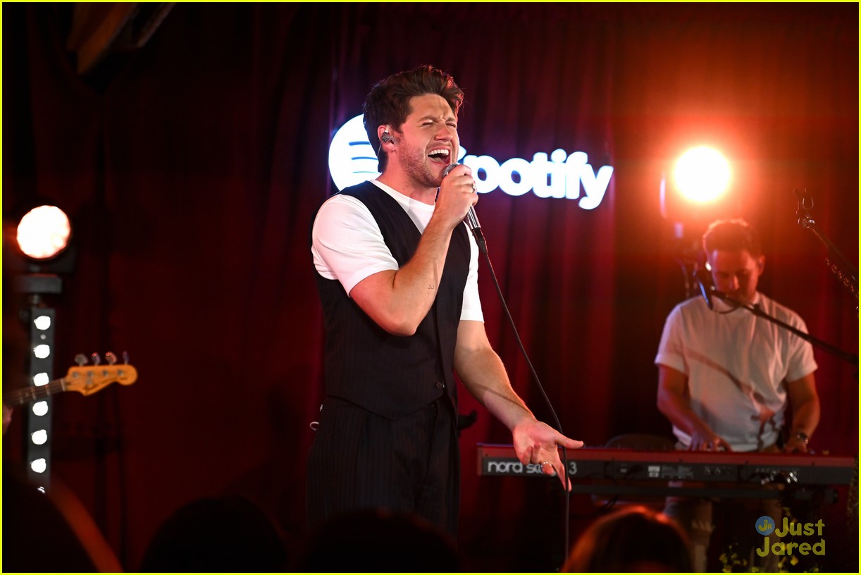 niall horan previews new album the show for lucky fans 12