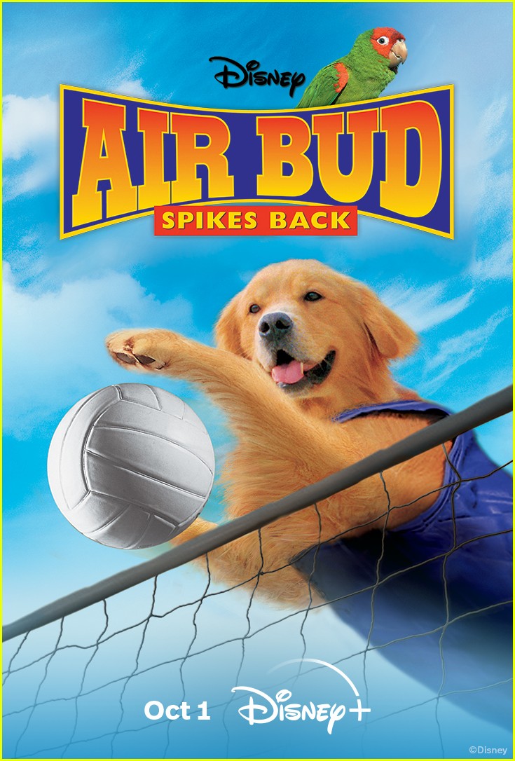 first five air bud movies coming to disney plus 05