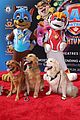 paw patrol the mighty movie breaks guinness world record at weekend screening 03