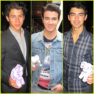 The Jonas Brothers Support The Elephant Project