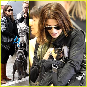 Ashley Greene & Nikki Reed: Traveling With the Dogs