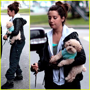 Ashley Tisdale: Errands with Maui in Vancouver