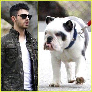 Joe Jonas Takes Winston For A Walk