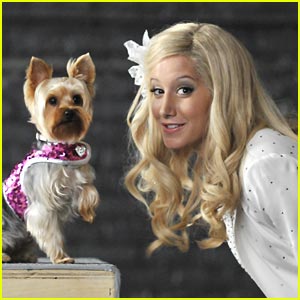 Ashley Tisdale: Sharpay's Fabulous Adventure Premieres May 22 on Disney Channel!