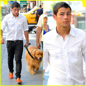 Nick Jonas: NYC Dog Walker