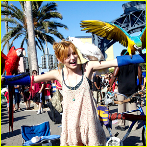Bella Thorne: Birds on the Beach!