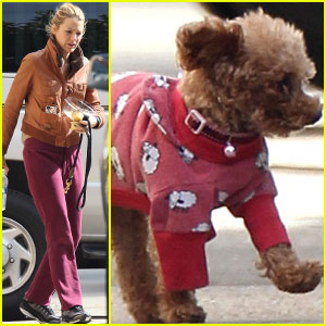 Blake Lively: 'Gossip Girl' Set with Her Dogs
