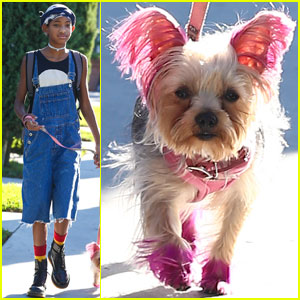 Willow Smith Launches a Fashion Blog!