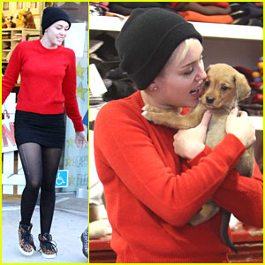 Miley Cyrus: Meet New Pup, Penny Lane!