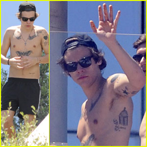 Harry Styles: Shirtless Pool Party!