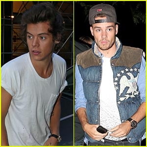 Harry Styles & Liam Payne: Separate Solo Outings in NYC!