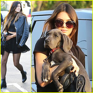 Kendall Jenner Gets New Great Dane Puppy!