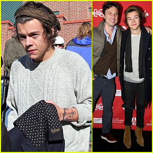 Harry Styles: 'Wish I Was Here' at Sundance Film Fest