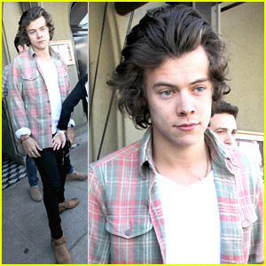 Harry Styles Braves Sea of Paparazzi for Lunch in West Hollywood
