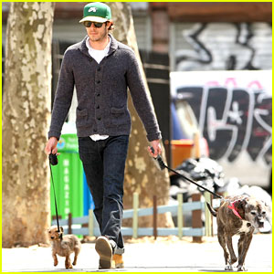 Adam Brody Walks His Dog Penny Lane & Leighton Meester's Dog Trudy in NYC