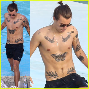 Harry Styles Goes Shirtless Again in Rio!