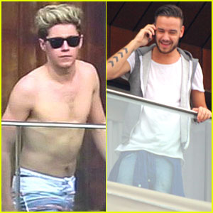 Niall Horan Shows Off Shirtless Bod While Hanging on Rio Balcony!