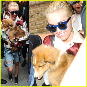 Miley Cyrus' Puppy Emu Puts A Smile On Her Face