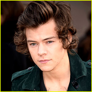 Harry Styles Fan Fiction Is Coming to a Movie Theater Near You!