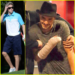One Direction's Liam Payne Catches a Movie While Niall Horan Tees Off