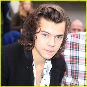 Harry Styles on Dating Men: 'Don't Knock It 'Til You Try It!'