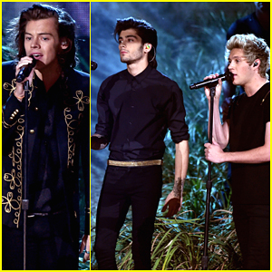 One Direction Keeps 'Night Changes' Performance Low-Key After Winning Big at American Music Awards 2014 - Watch Here!