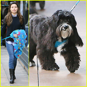 Miranda Cosgrove Brings Pup Penelope Holiday Shopping With Her