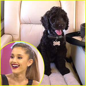 Ariana Grande Gets A New Puppy - Meet Sirius Black!