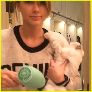 Taylor Swift's Cat Gets Dry With Harry Josh's Hair Dryer